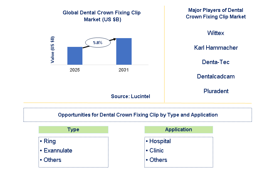 Dental Crown Fixing Clip Market Trends and Forecast